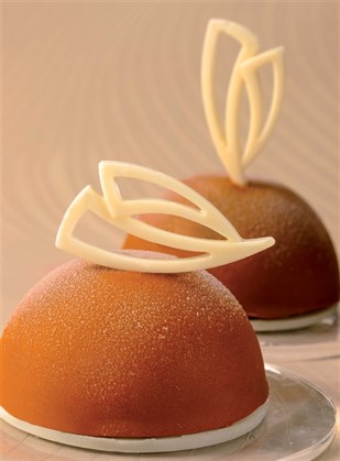 Polycarbonate Chocolate Mould 20-D011