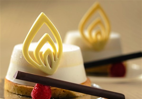 Polycarbonate Chocolate Mould 20-D013