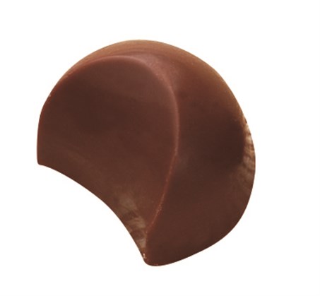 Polycarbonate Chocolate Mould MA1609