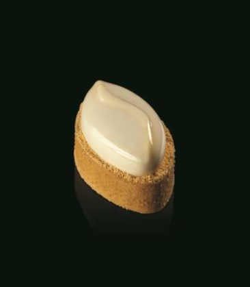 Shell Silicon Mould 