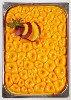 Coral Ice Cream Pan Silicone Top