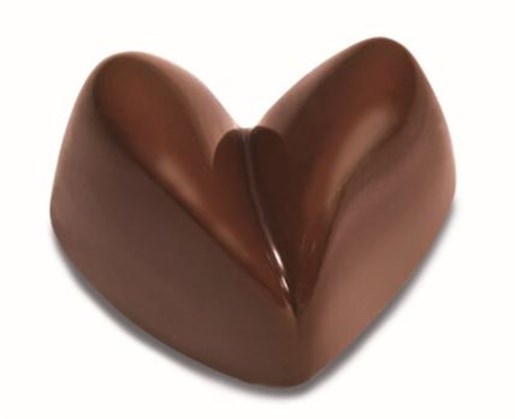 Polycarbonate Chocolate Mould PC58