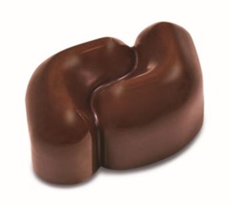 Polycarbonate Chocolate Mould PC62
