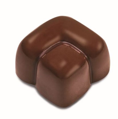Polycarbonate Chocolate Mould PC64