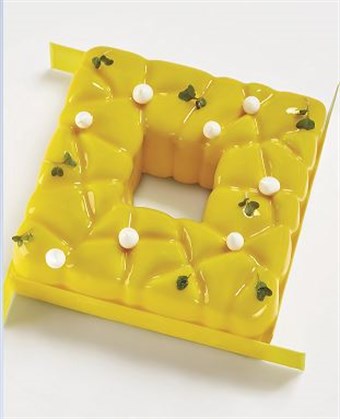Square Silicone Mould
