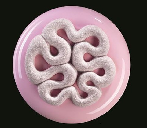 Mini Jelly Silicone Top