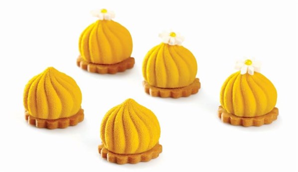 Delice Silicon Mould