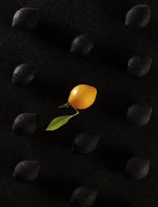 Citron Silicon Mould