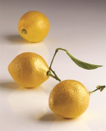 Citron Silicon Mould
