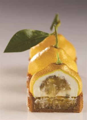 Citron Silicon Mould 