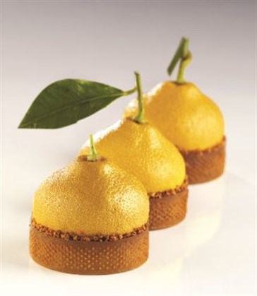 Citron Silicon Mould 