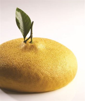 Citron Silicone Mould