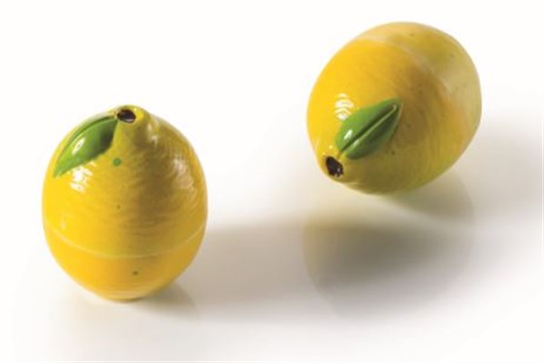 Lemon Polycarbonate Chocolate Mould 20FRUIT04